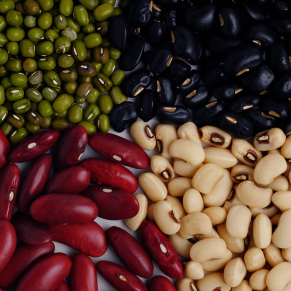 BEAN SEED 300GMX30