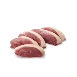 DUCK 10PCS