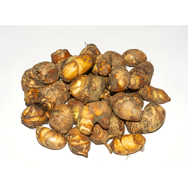 KACHU MUKHI 300GMX30