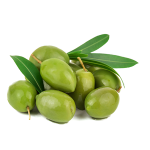 OLIVE 300GMX24