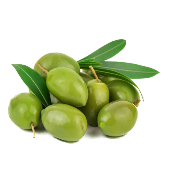 OLIVE 300GMX24