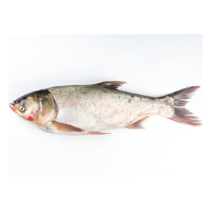 SILVER FISH 10PKT