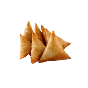 SAMOSA 400GMX20