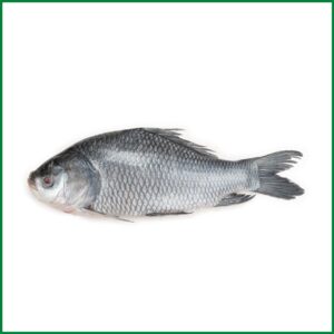 KATLA 3UP GGS 20KG
